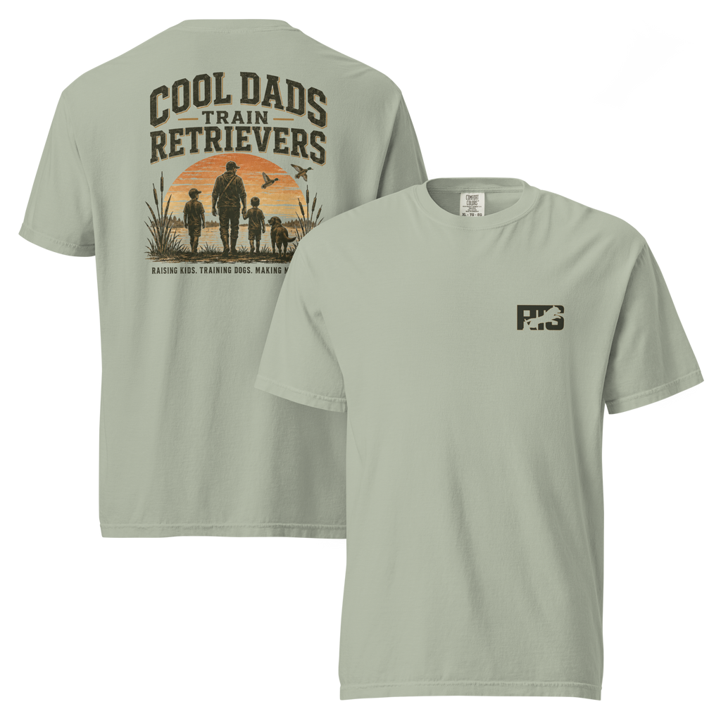 Cool Dads Train Comfort Tee