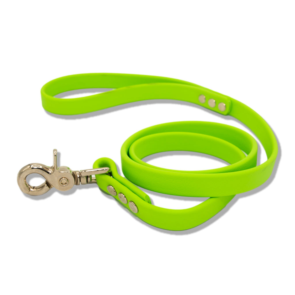 Lead with Quick Release