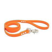 Lead with Quick Release